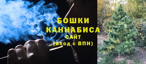 прущие крисы Верея