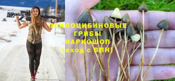 прущие крисы Верея