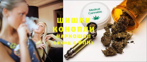 стафф Верхний Тагил