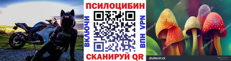 MEGA как зайти  Курган  Псилоцибиновые грибы GOLDEN TEACHER  где найти наркотики 